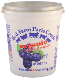 Blueberry Yogurt